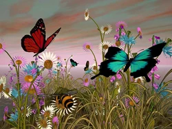 Suggerimenti Generali Per Mantenere Il Tuo Giardino Adatto Alle Farfalle